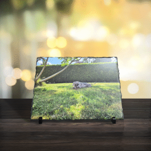 Ardoises rectangulaire